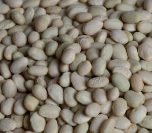 How to make White Tepary Bean Salad and White Tepary Bean Hummus