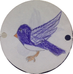 NATIVE HEALTH Cultural Online Class - Gregory Hill-Coloring Thumatrope