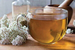 Garden Workshop-Tea Series: Chamomile and Yarrow @ NATIVE HEALTH Traditional Garden | Phoenix | Arizona | United States