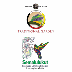Planting as Prevention @ Semalulukut Community Garden | Tempe | Arizona | United States