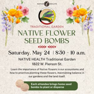 Native Flower Seed Bombs @ NATIVE HEALTH Traditional Garden | Phoenix | Arizona | United States